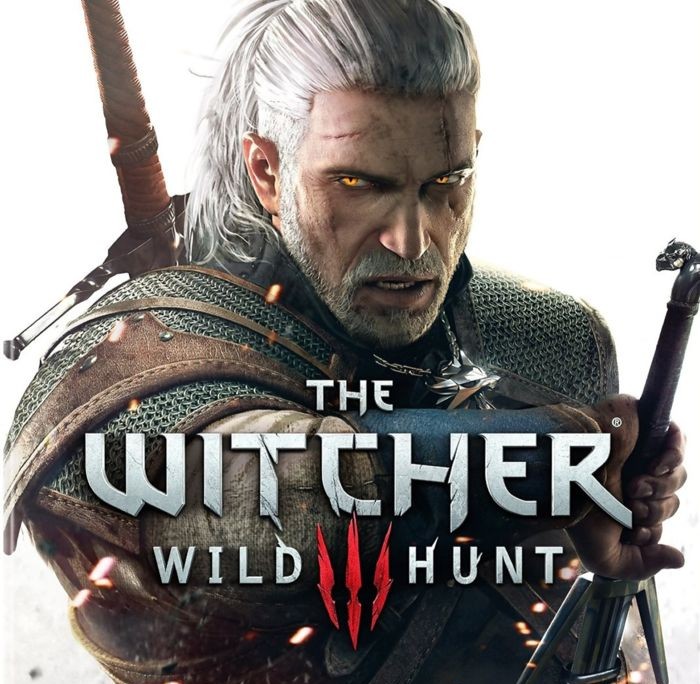 Witcher 2 Character